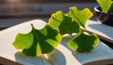 ginkgo enhances memory function