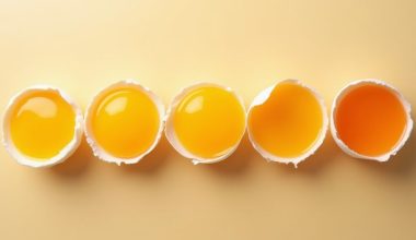 egg yolk color significance explored