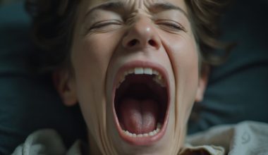 brain function revealed by yawning