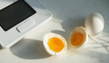 protein rich eggs for weight loss