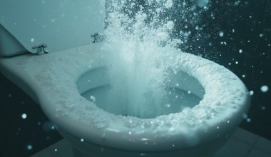 toilet plumes spread bacteria hazardously