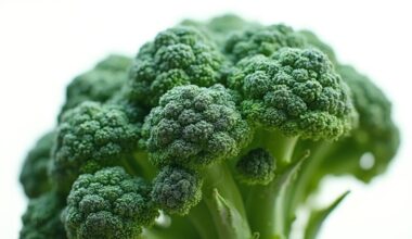 cancer fighting broccoli weapon