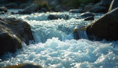 meditative calming aquatic motion benefit